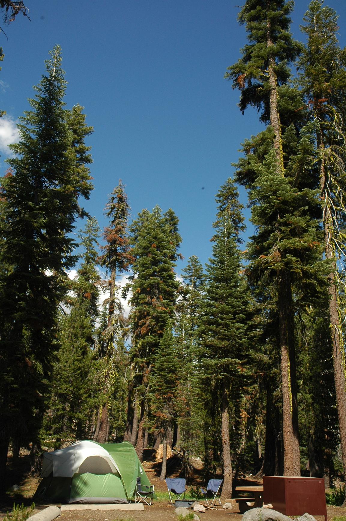 Lassen Volcanic National Park Camping Tours - Wildland Trekking