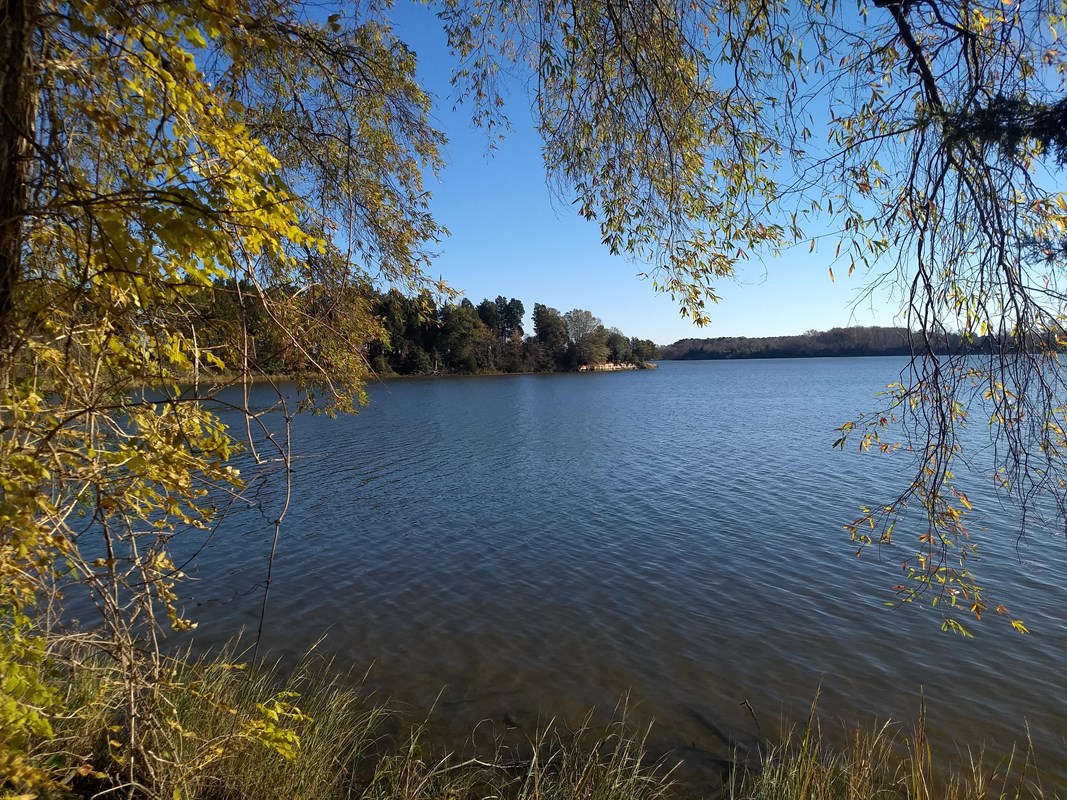 View of Popes Creek 