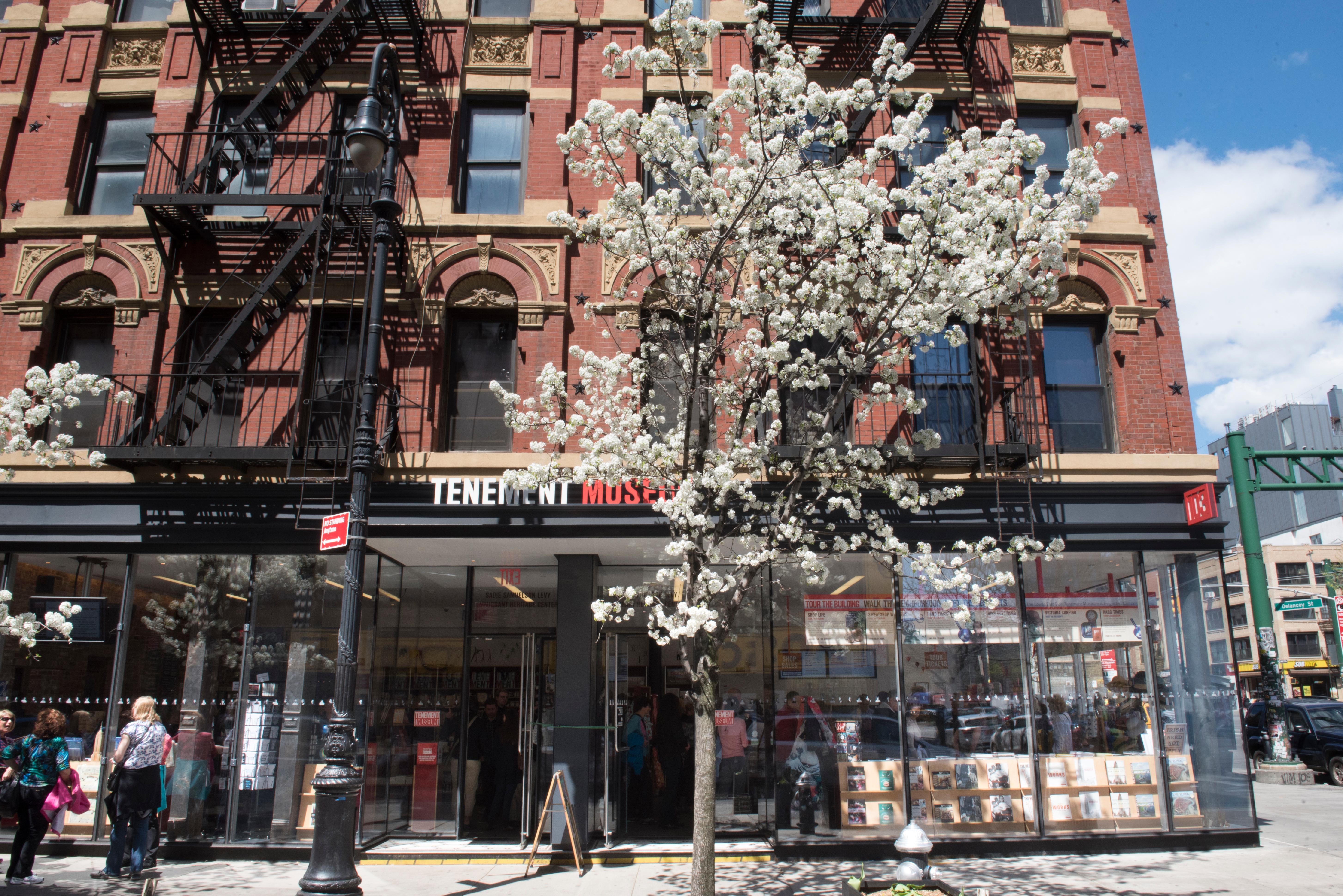 A flowering white tree in front of the entrance to the visitor center