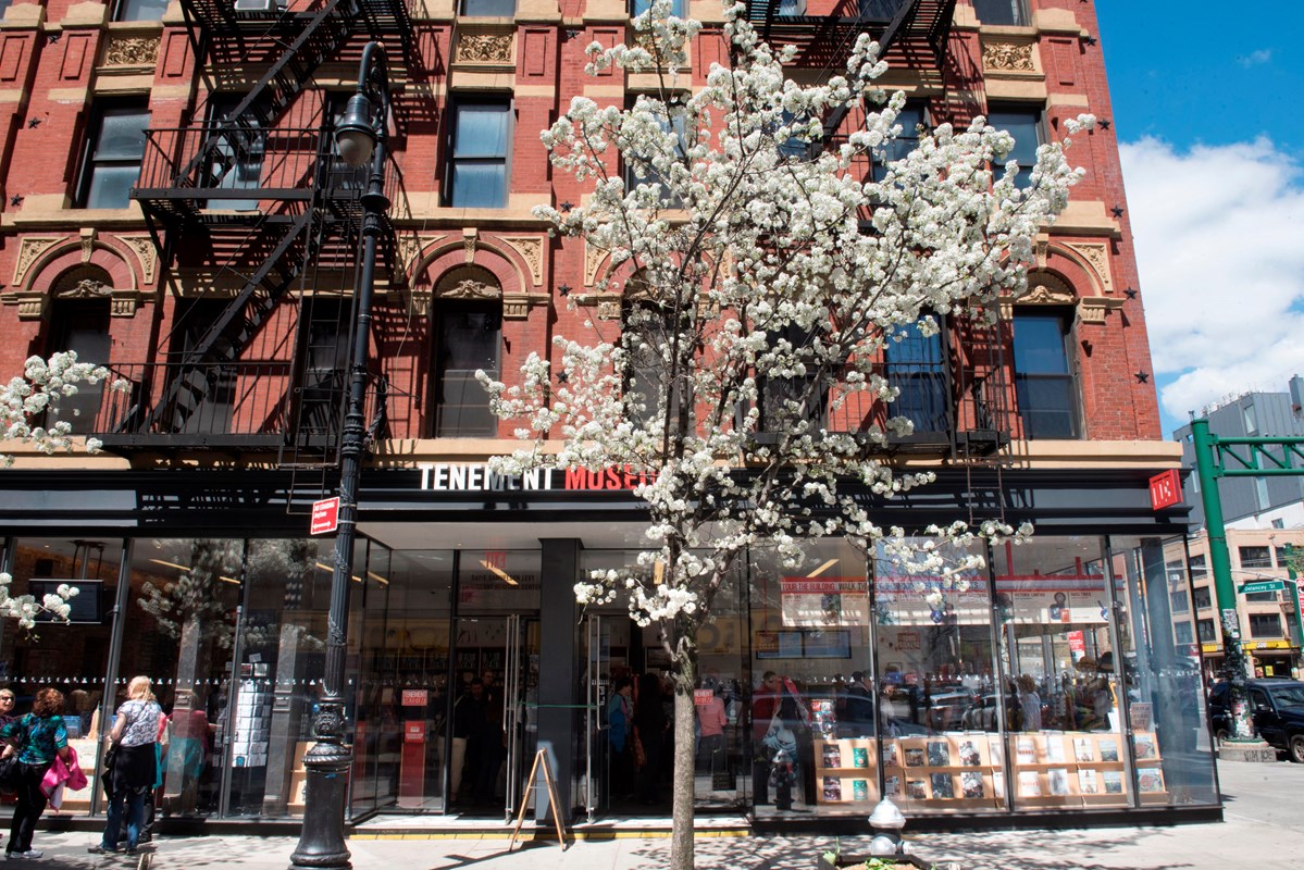 A flowering white tree in front of the entrance to the visitor center