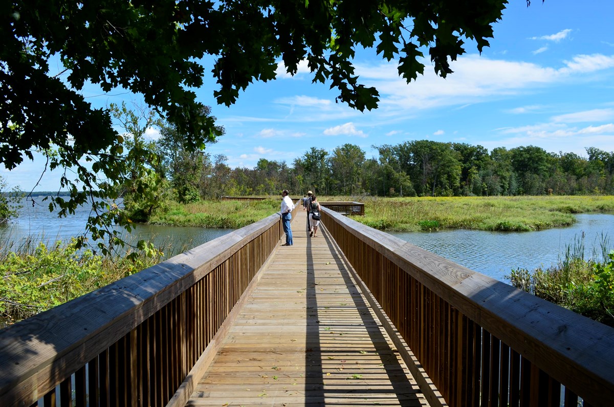 a wooden boardwalk to a green marsh