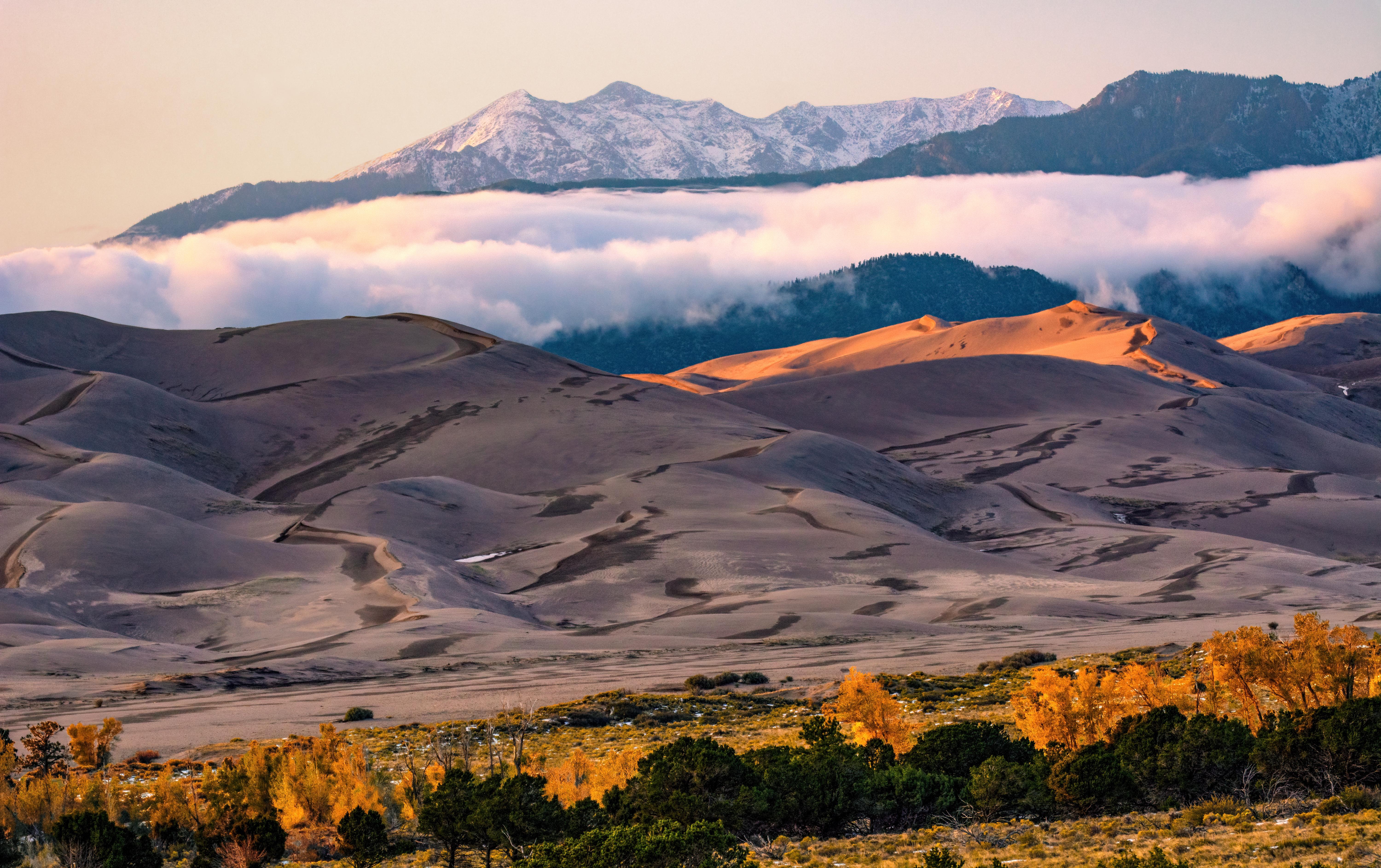 Gold cottonwood trees, large dunes, a silver cloud, and snow-capped mountain