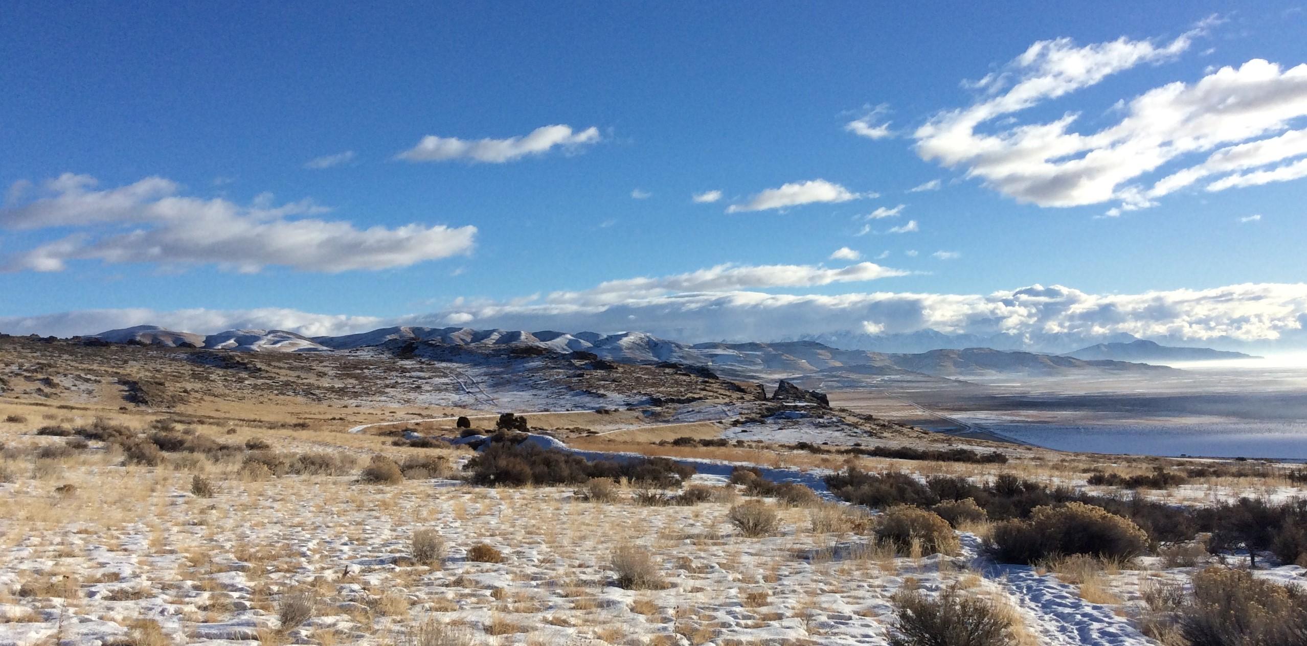 Sunny Winter View from the Big Fill Trail