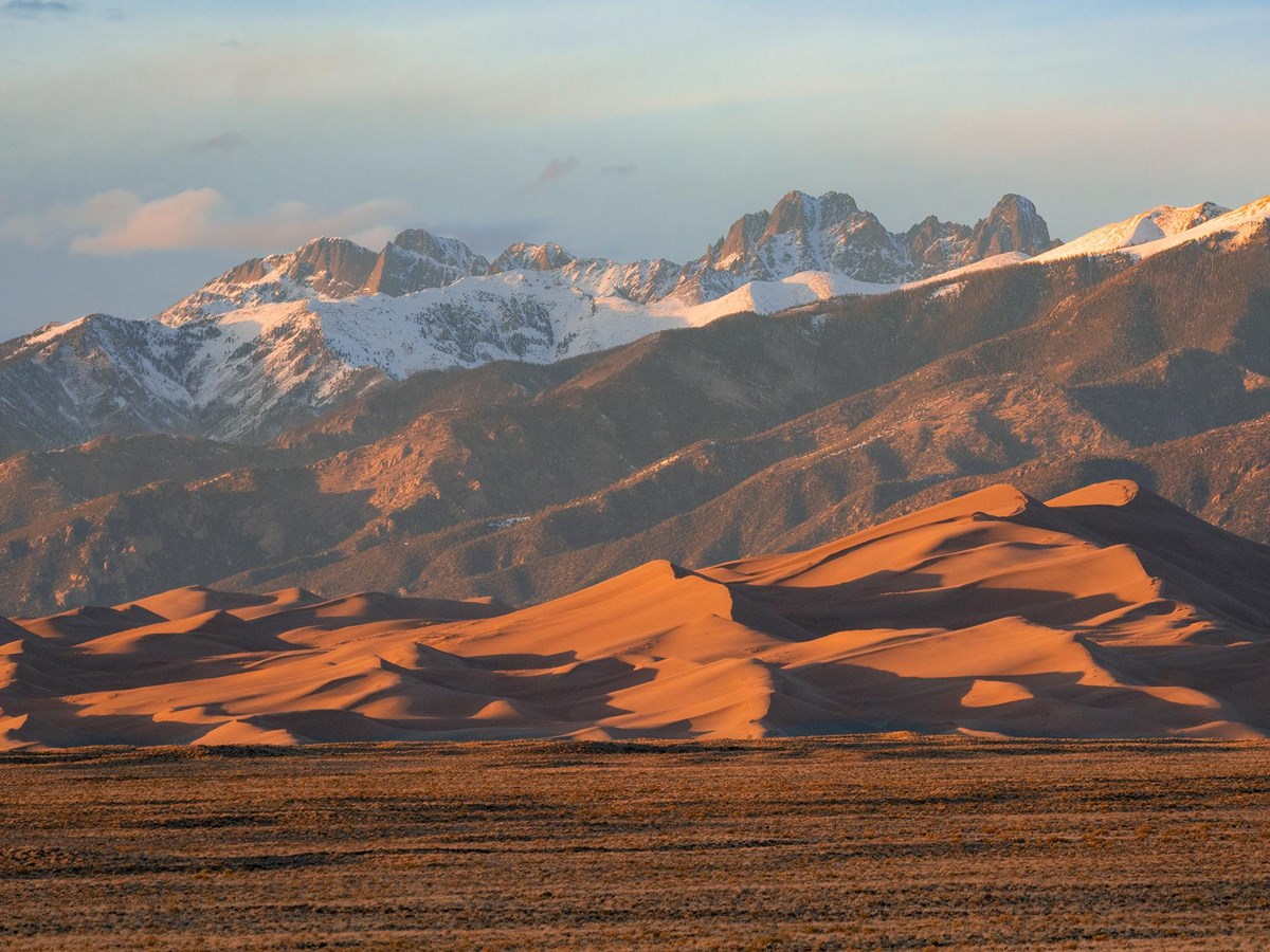 Introduction to Plants of Great Sand Dunes (U.S. National Park Service)