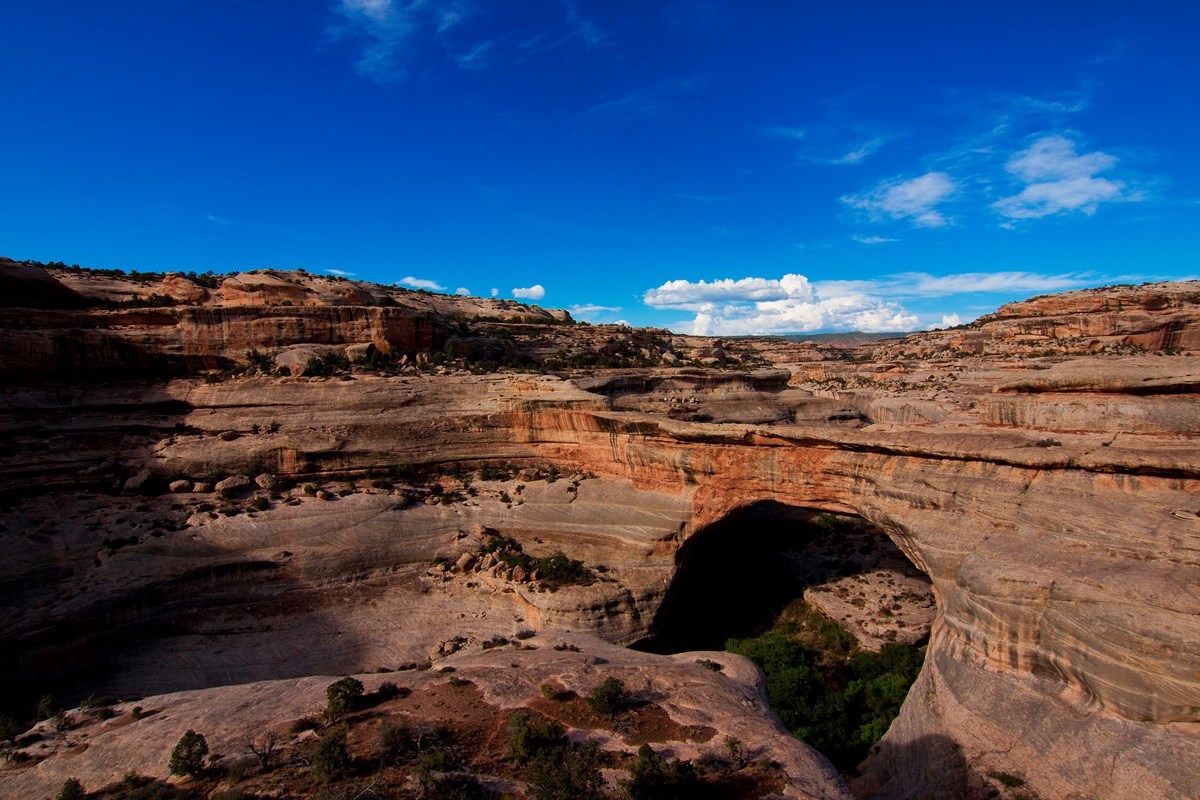 A large sandstone natural bridge with surrounding canyons and vegetation