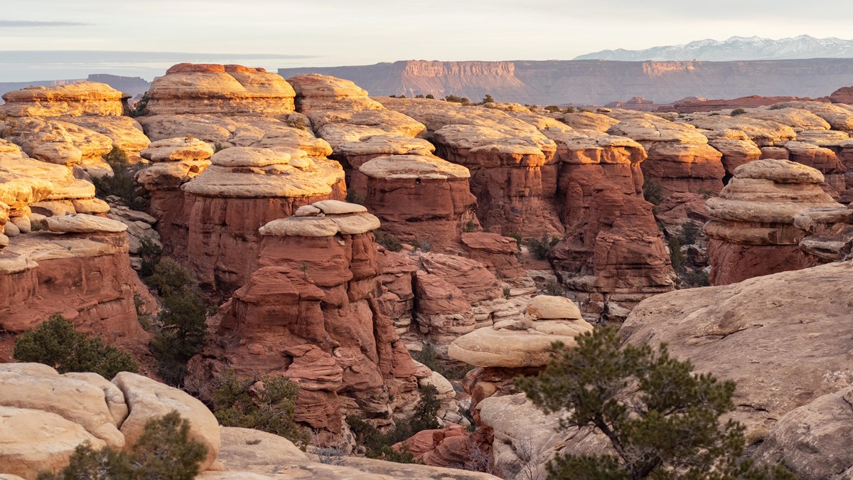 Small rounded canyons with large sandstone cliffs and mountains in the background