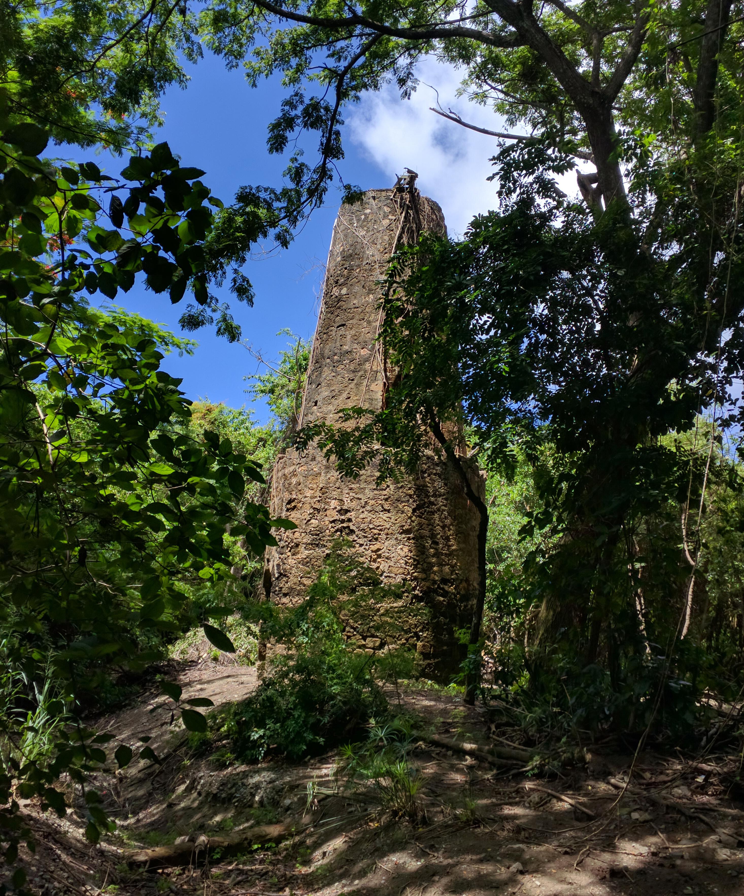 Photograph of historic masonry well tower in the woods at Salt River.