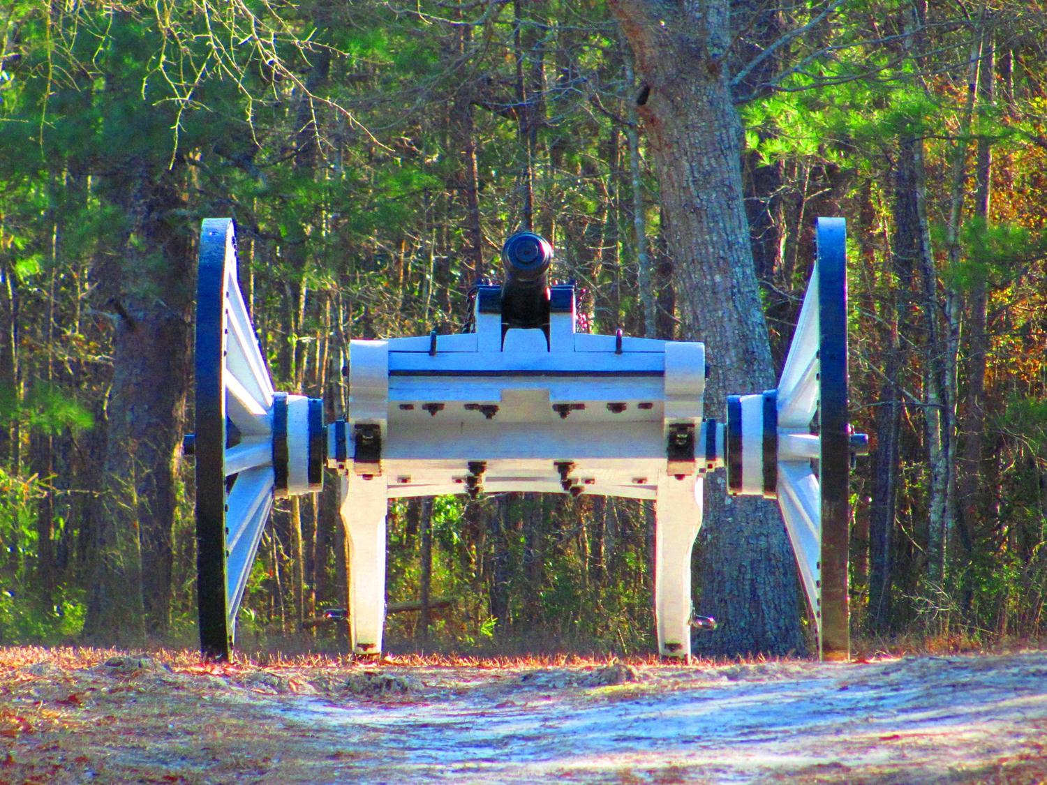 Cannon at Moore's Creek.