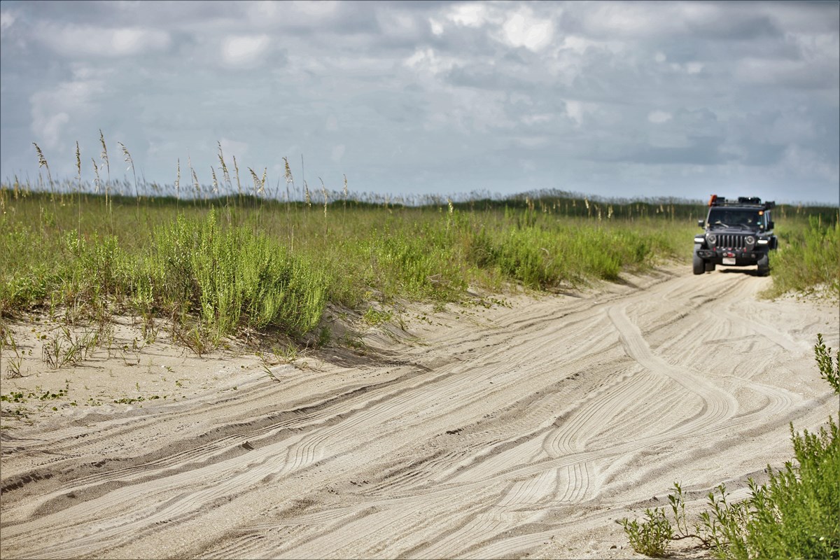 A Jeep drives on the sand in between grass covered dunes. 
