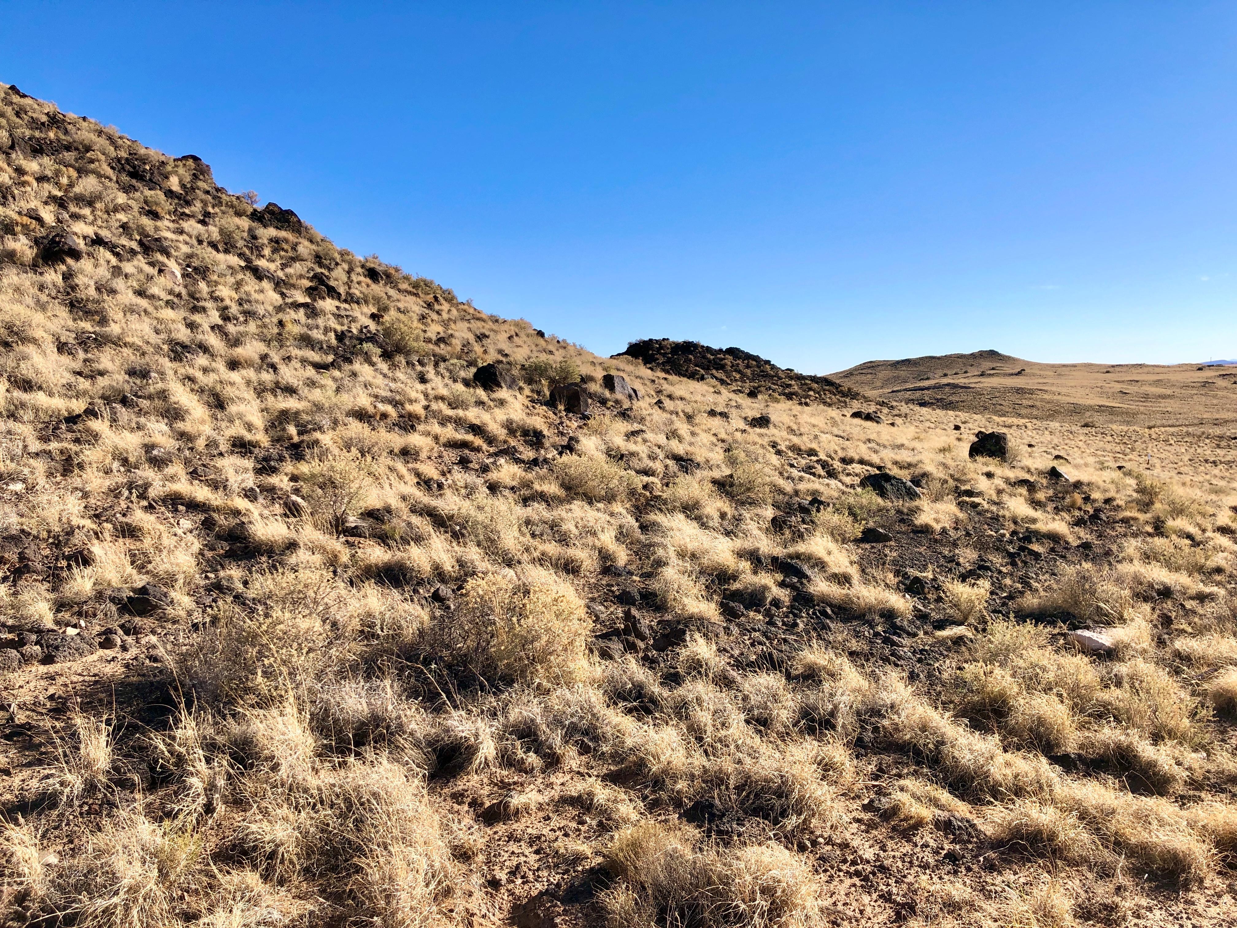 A line of dead grass covered cinder cone volcanoes.