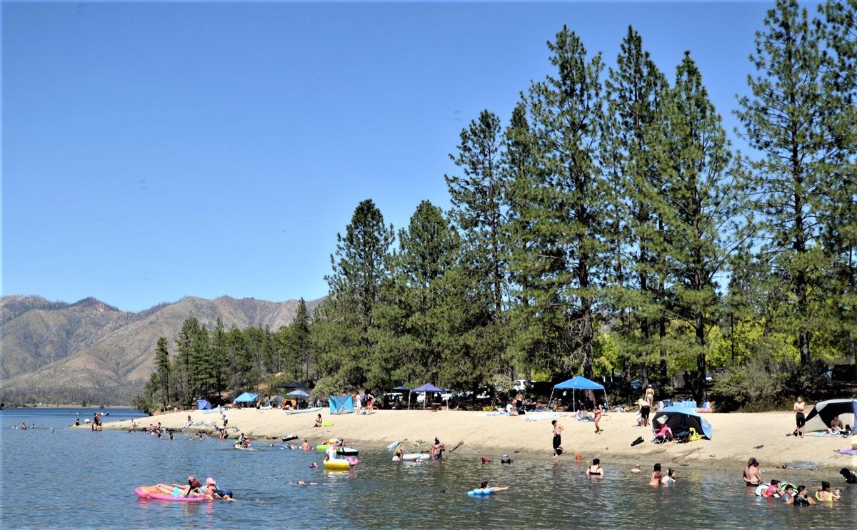 Several people swimming in water, strip of sand with people sitting on it, trees, blue sky above.