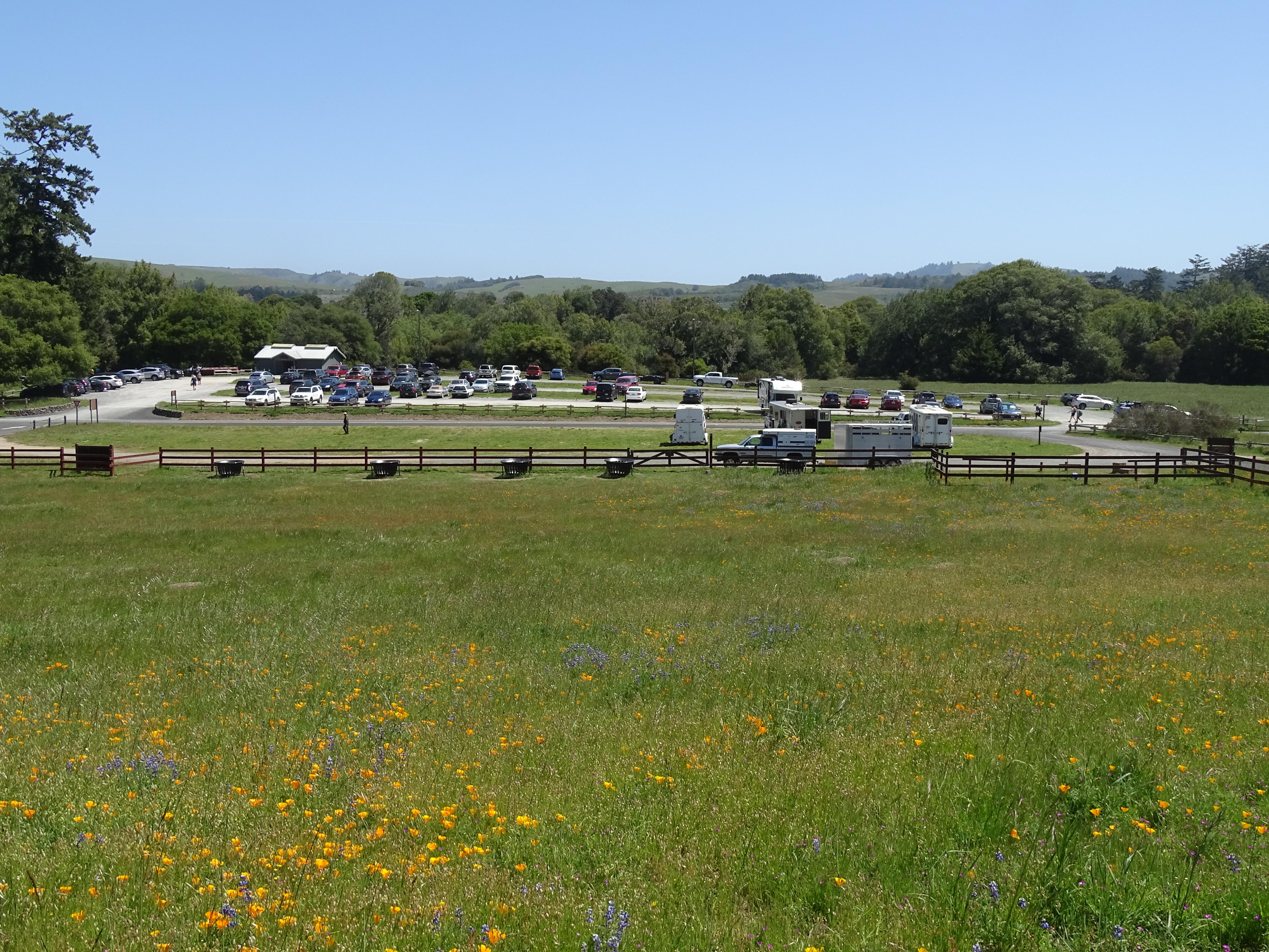 Parking lots: Why autonomous cars could save acres of space