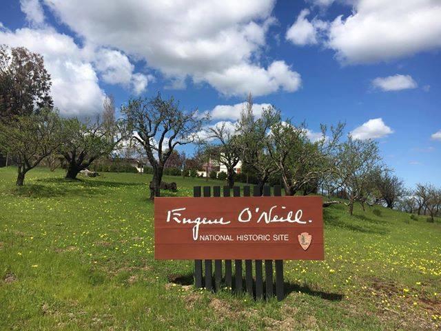 A sign with the park name is sitting in a field of trees.