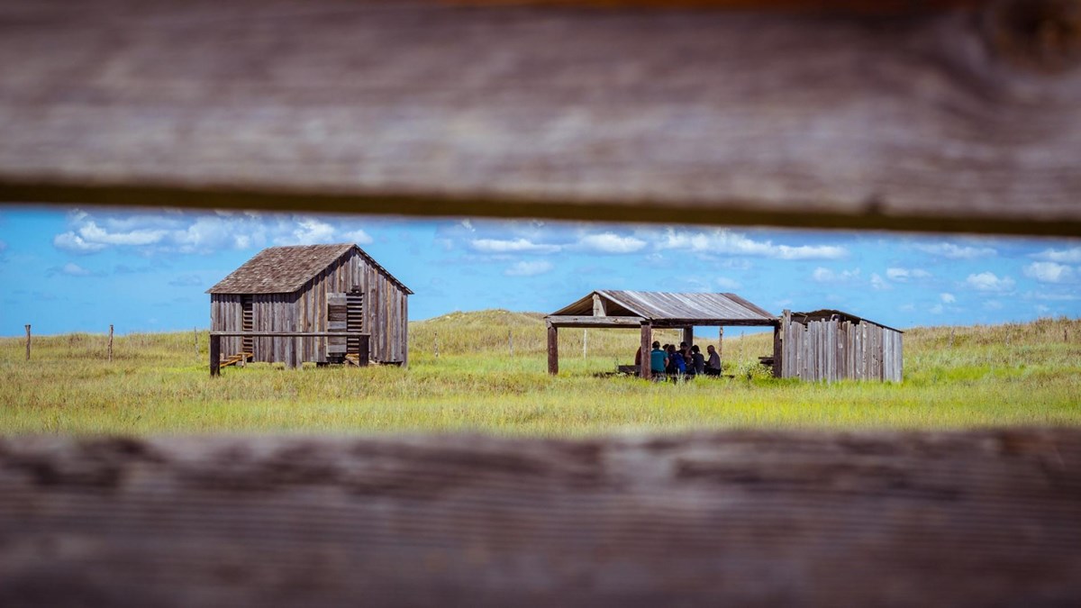 Small wooden structures are seen looking through a wood fence. 