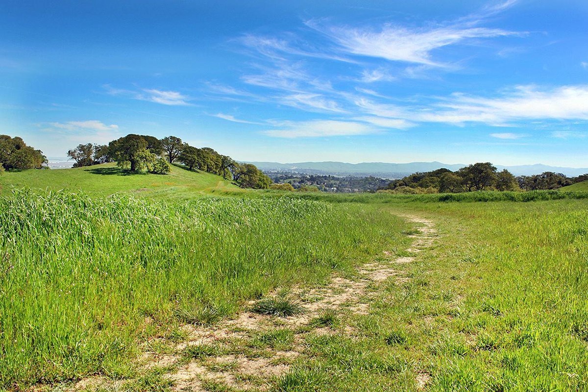 A natural foot path winds its way through hills and trees. 