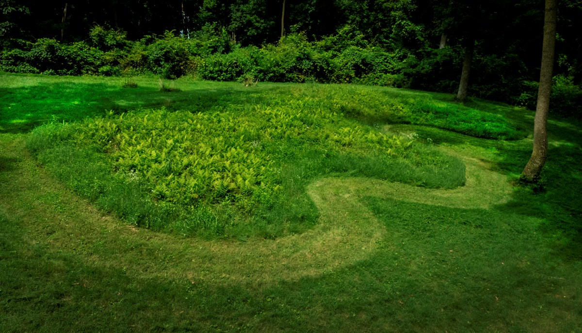View from the air of a mound covered in short green vegetation with forest behind. 