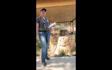 Intern in a grey polo holding a clipboard stands on a sidewalk in front of a petrified redwood trio. Intern in a grey polo holding a clipboard stands on a sidewalk in front of a petrified redwood trio.