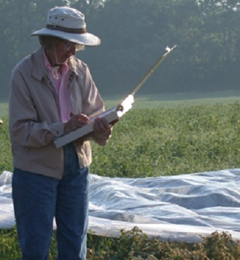 archaeologist, stands in a field at the edge of an excavation unit taking notes on a clipboard. archaeologist, stands in a field at the edge of an excavation unit taking notes on a clipboard.