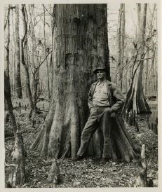 Man stands next to large tree