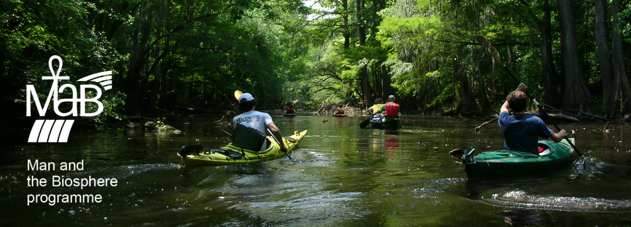 Biosphere Reserve Congaree National Park Us National - 