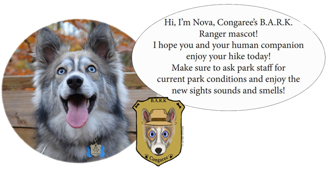 BARK Ranger Nova Photo and illustration of BARK Ranger Mascot, Nova