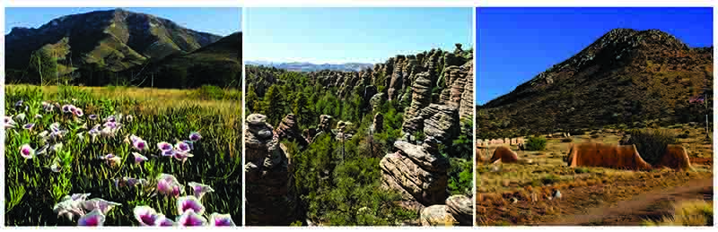 Southeast Arizona Group of National Park Sites - Coronado National Memorial (U.S. National Park Service)