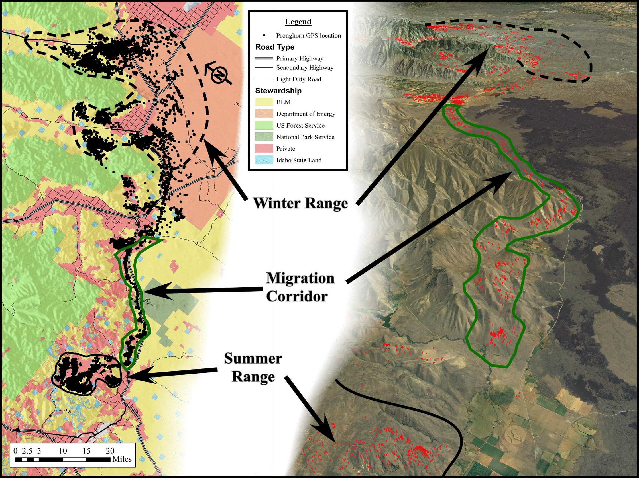 pronghorn migration map