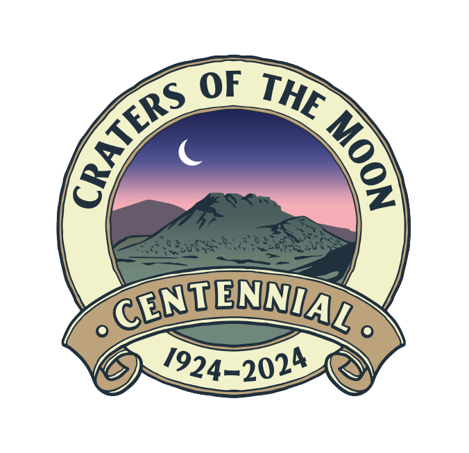 Centennial Logo