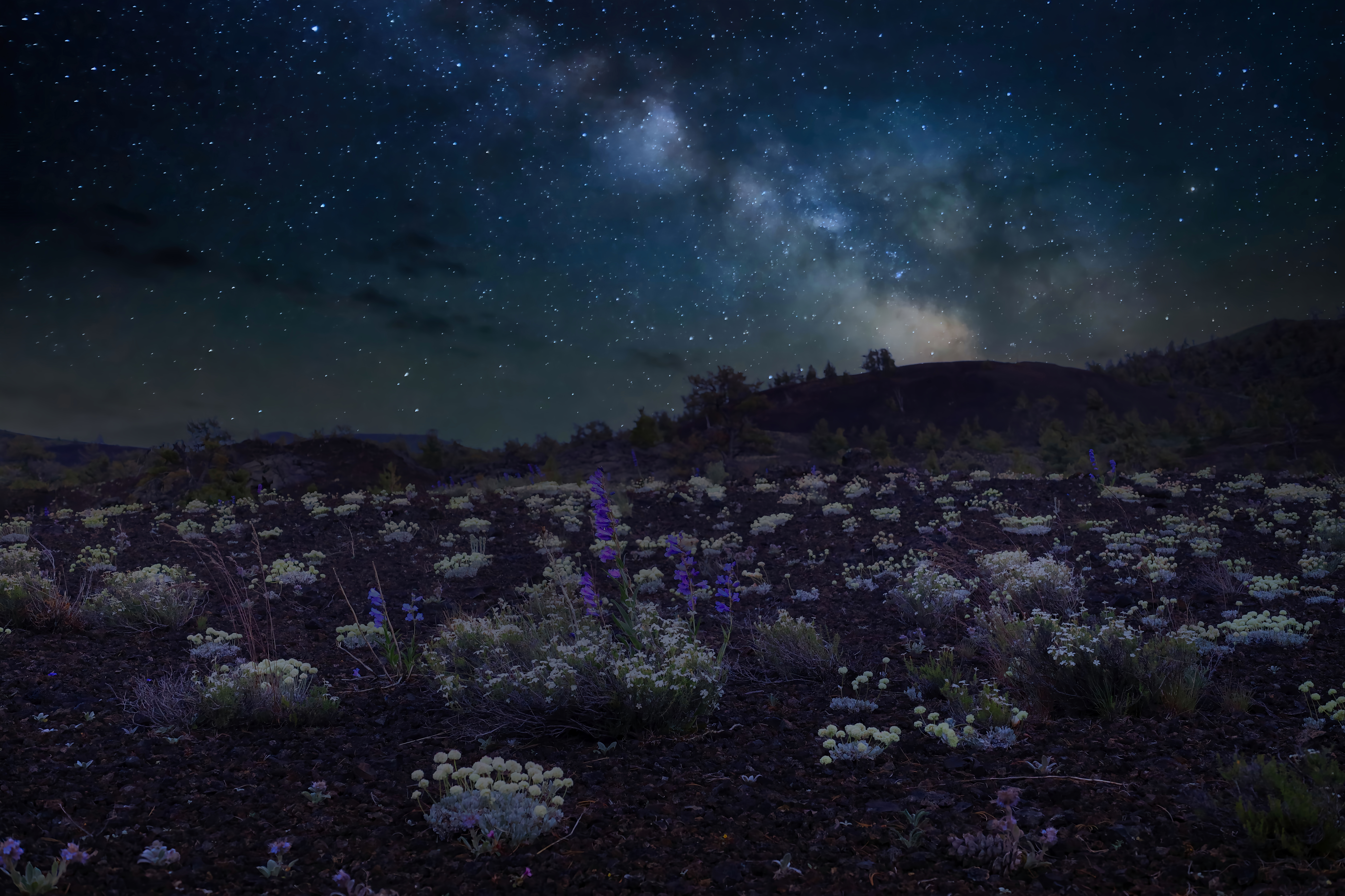 Night sky with milky way rises over a volcanic landscape with wildflowers.