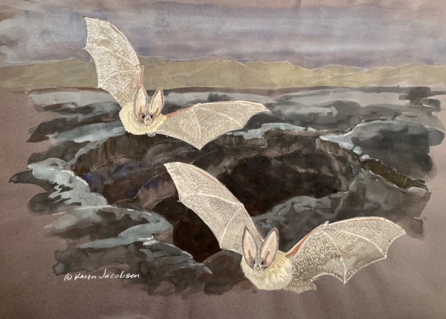 Watercolor painting of bats flying out of a cave.
