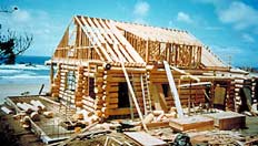This is an image of the new log house in the framing stage of construction. Summer, 1994. Photo: David Wark.
