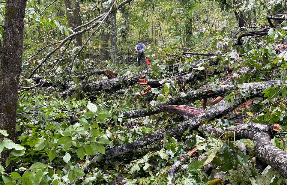 Chadwell Gap Trail is blocked by downed trees and debris after storm damage. A person in outdoor gear is seen in the distance working to assess the trail.