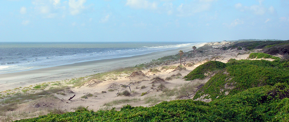 On Island Cumberland Island National Seashore U S National Park Service