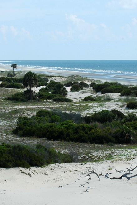 Basic Information Cumberland Island National Seashore U S National Park Service