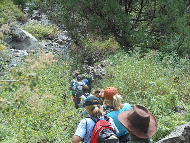 A ranger leads a group of students down a steep brushy trail toward a river