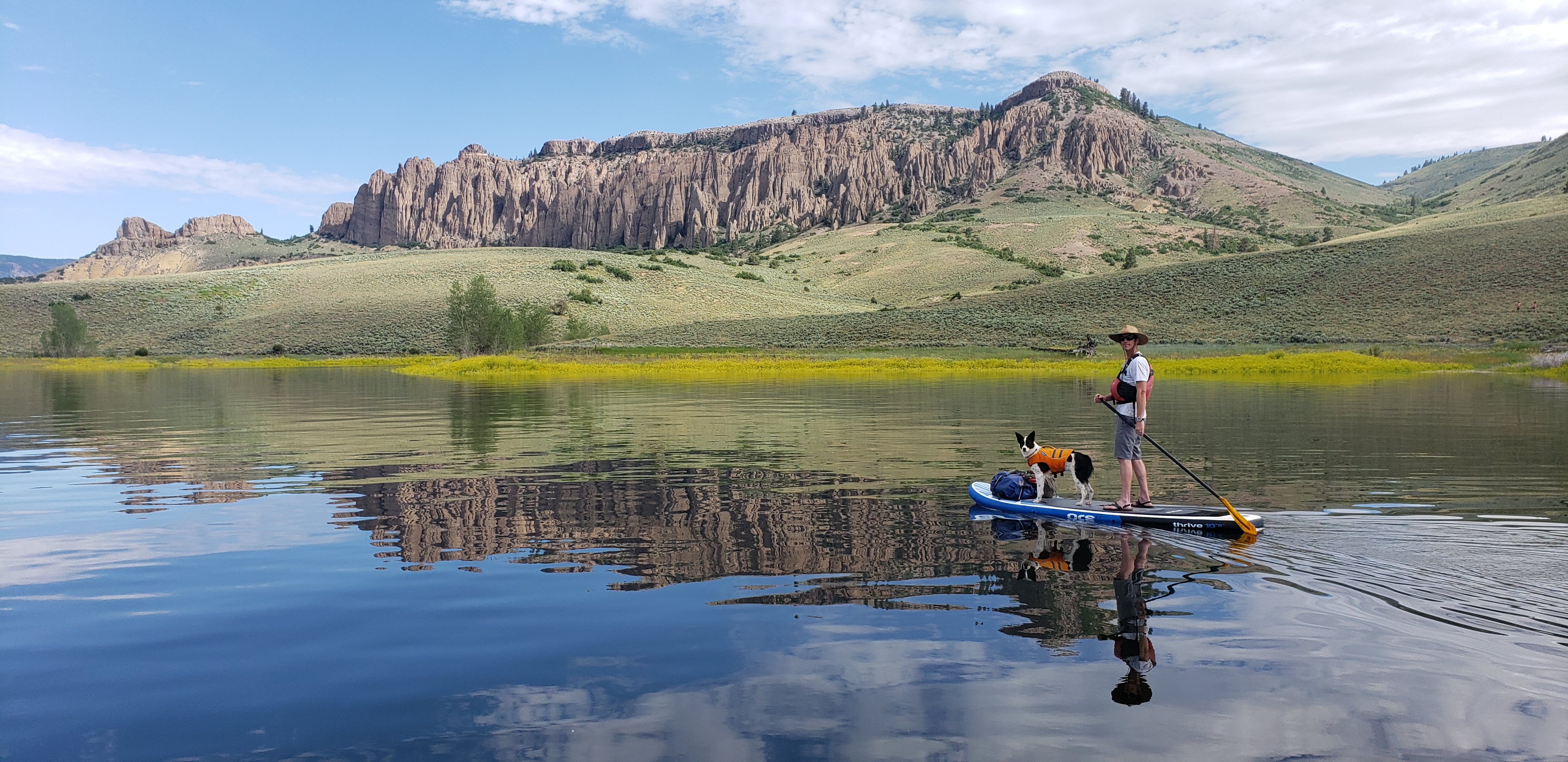 Become a Longfellow House B.A.R.K. Ranger (U.S. National Park Service)