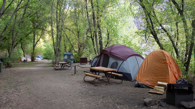 A campground with many different sized tents