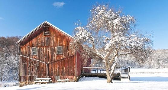 A reddish barn next to a tree in a snow covered, sunny field.