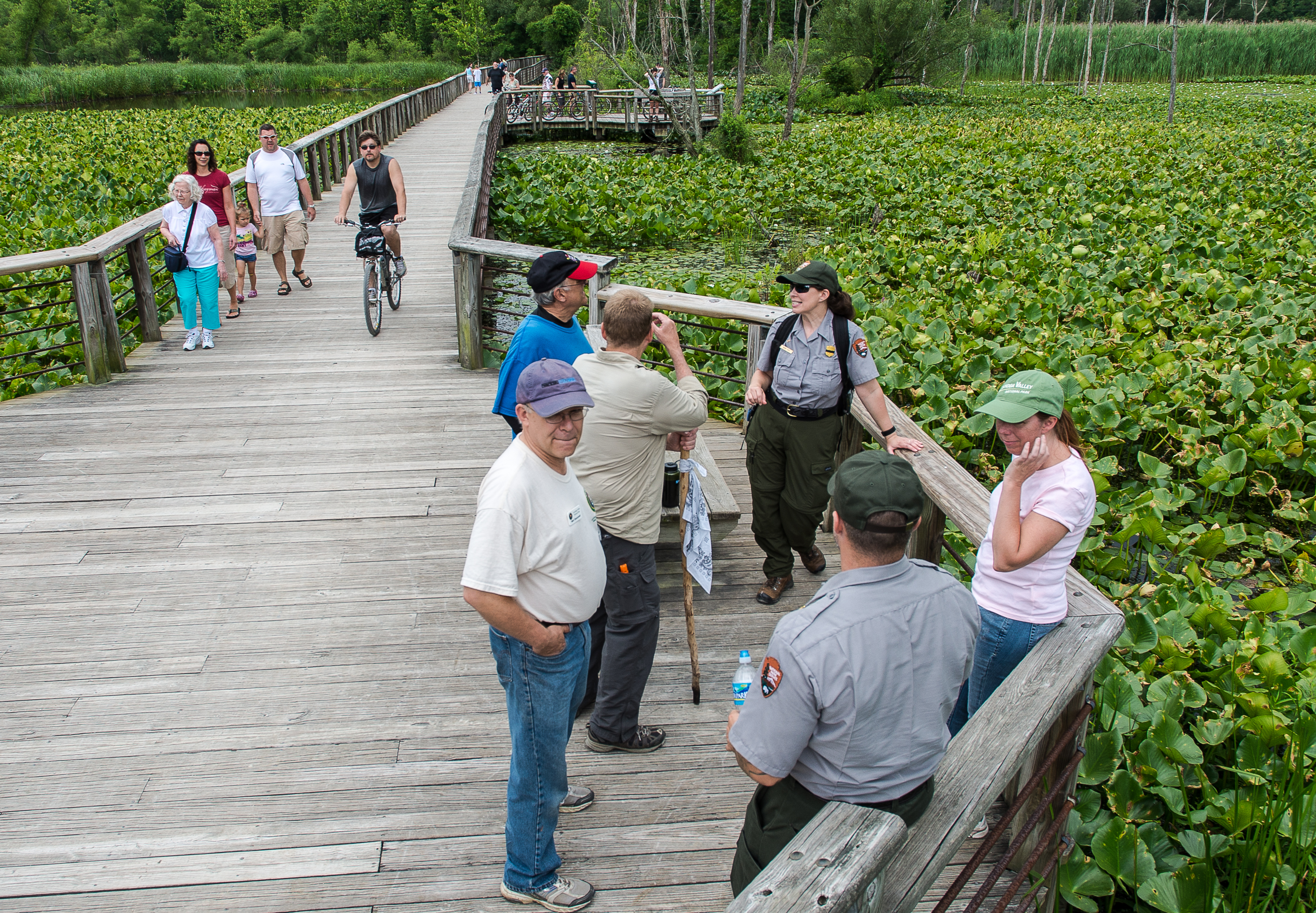 People gather with a ranger on a wooden boardwalk surrounded by green plants.