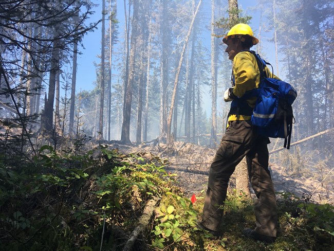 A firefighter stands in the foreground gazing through trees and the charred hillside in the distance. In the distance, smoke rises into the blue sky.
