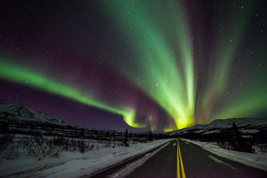 Aurora Borealis & the Night Sky Denali National Park & Preserve (U.S