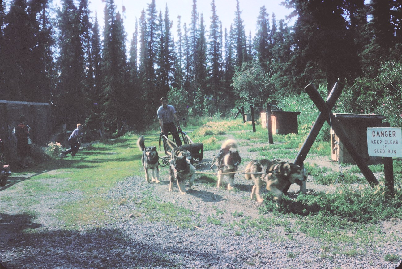 Kennels - Denali National Park & Preserve (U.S. National Park Service)