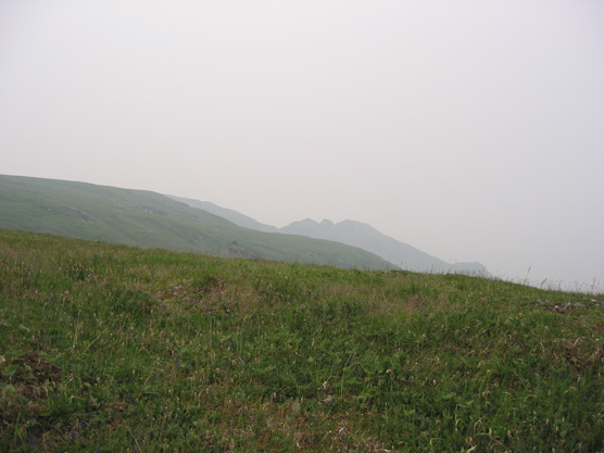 Unit 26: Primrose Ridge - Denali National Park & Preserve (U.S. National Park Service)