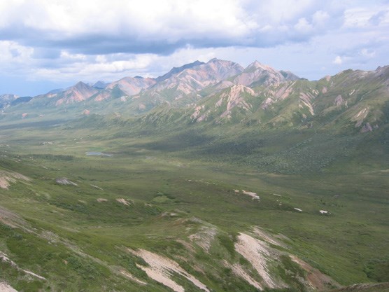 a wide grassy valley over looked by a rugged mountain