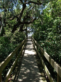 Nearby Attractions - De Soto National Memorial (U.S. National Park Service)