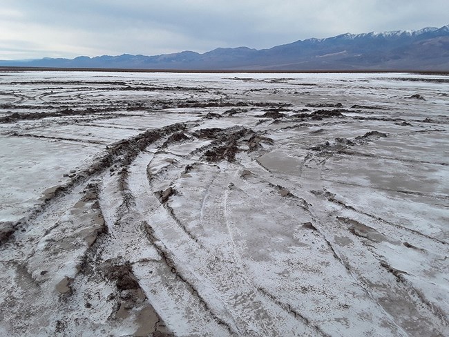 The foreground shows a white salt pan with multiple ruts left by vehicles.