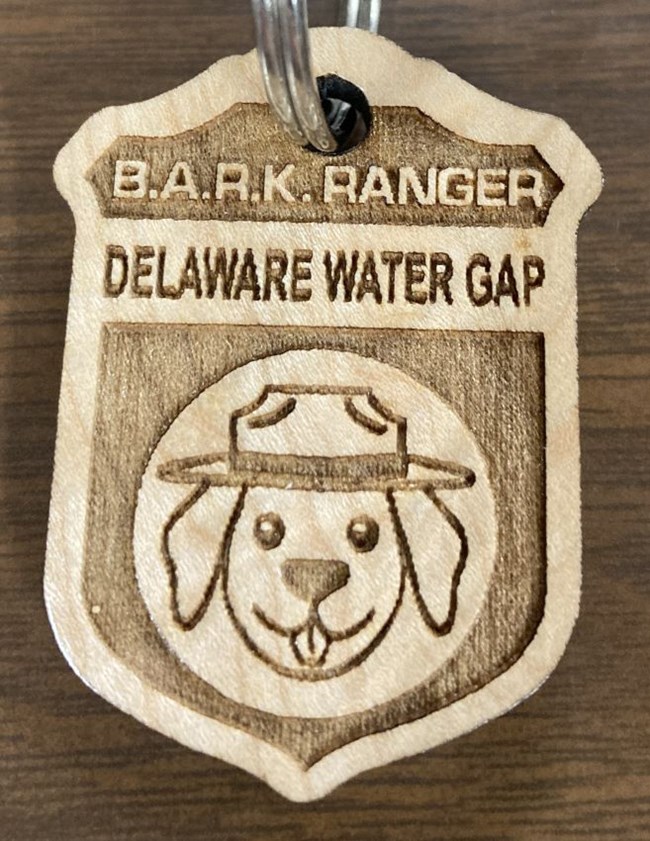 A wooden dog tag with a dog in a ranger hat on it.