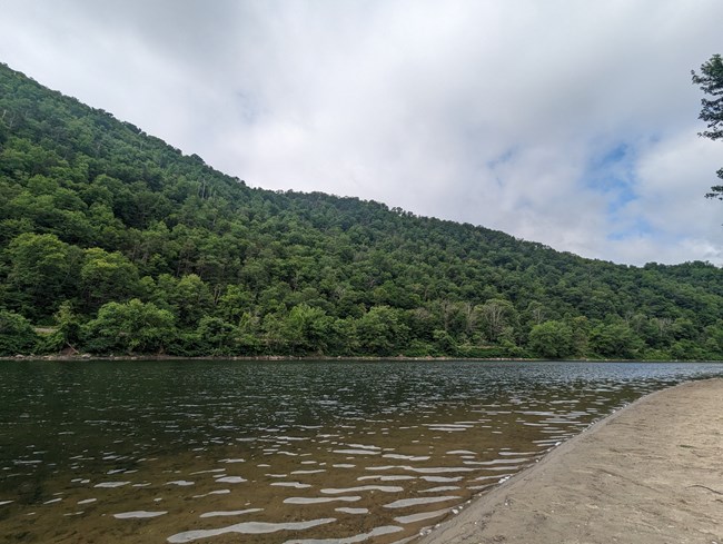 The Delaware River surrounded by green foliage.