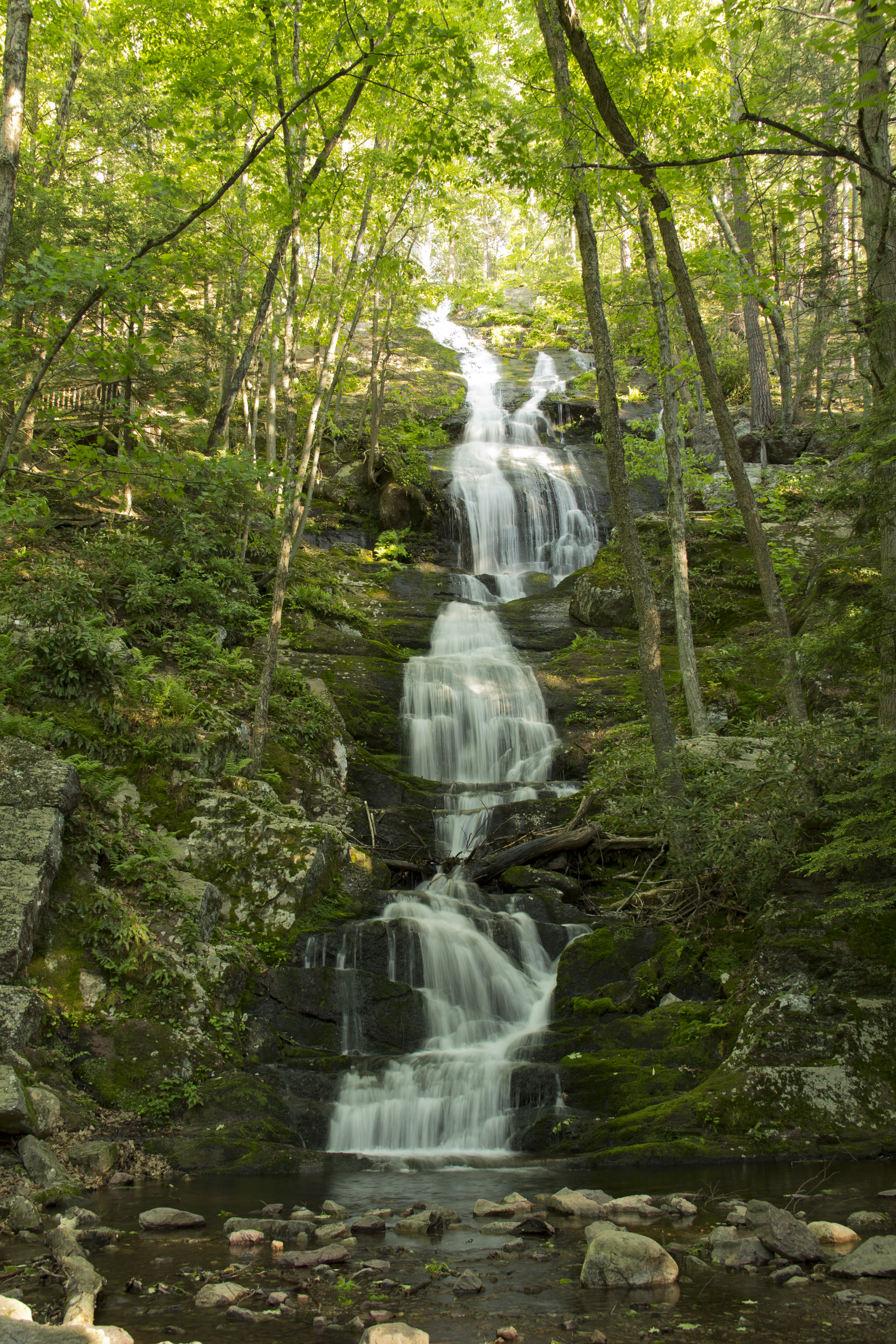 A 75-foot cascade of water falls over rocky cliffs which are surrounded by green forests.