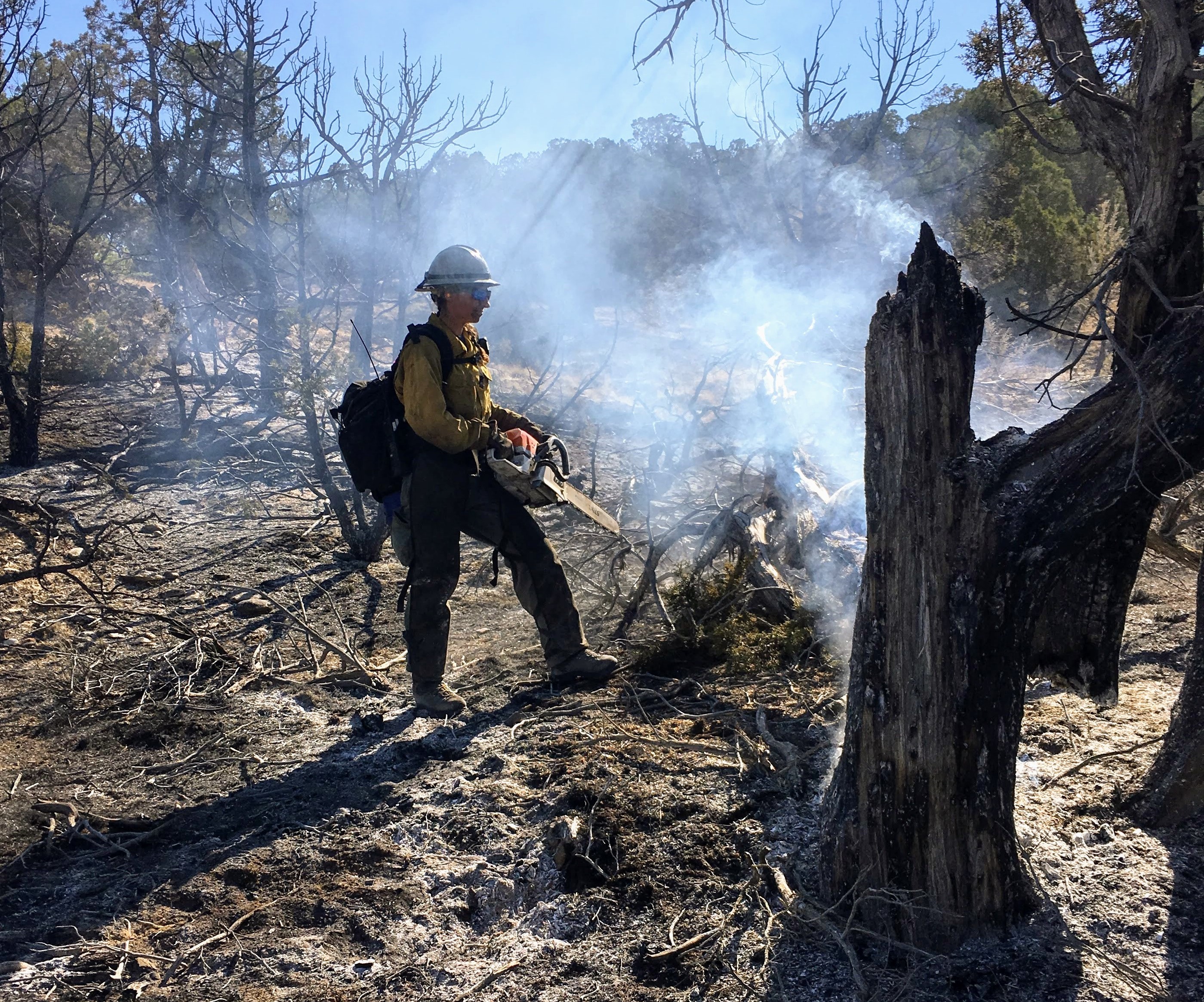 Personin yellow shirt holding a chainsaw stands in a smoky landscape